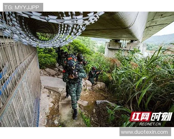 深入分析WE战队快攻战术的核心要素与实战应用